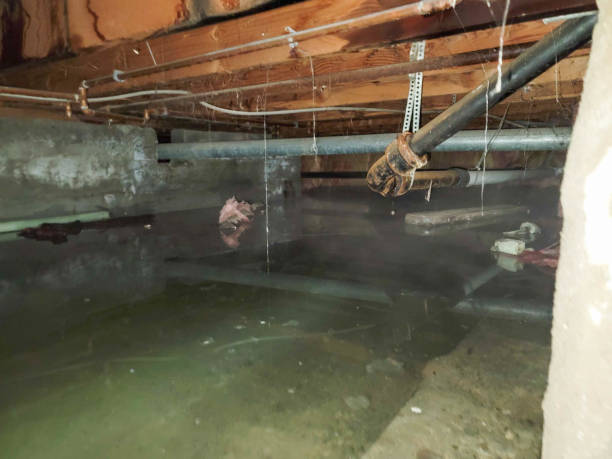 Best Commercial water damage restoration  in New Ulm, MN