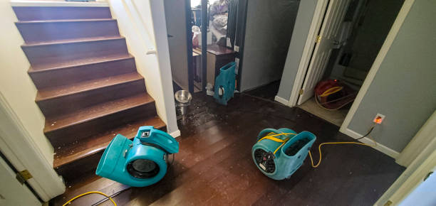 Best Sewage cleanup and water damage restoration  in New Ulm, MN