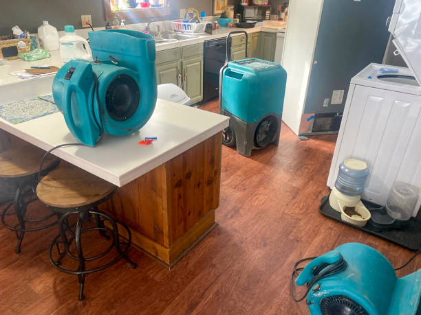 Best Professional water damage repair  in New Ulm, MN
