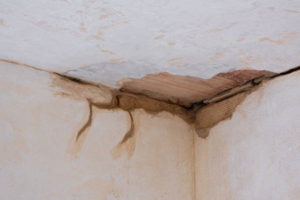 Best Ceiling water damage repair  in New Ulm, MN