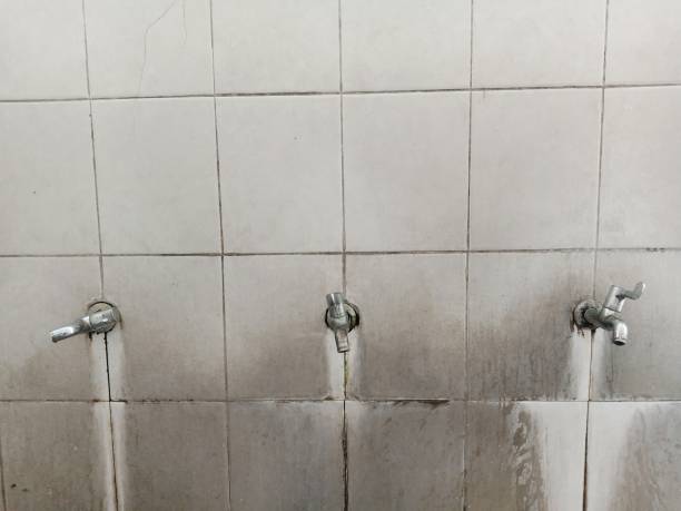 Best Water damage contractors near me  in New Ulm, MN
